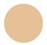 Aveda Make-up Inner Light™ mineral tinted moisture