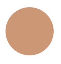 Aveda Make-up Inner Light™ mineral tinted moisture